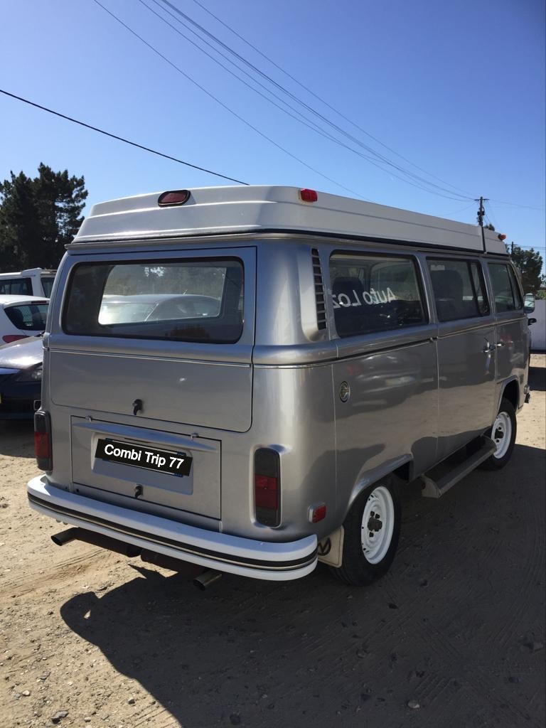Combi Silver Fish - Volant